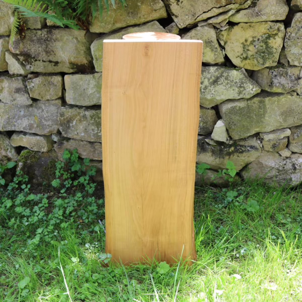 STELE