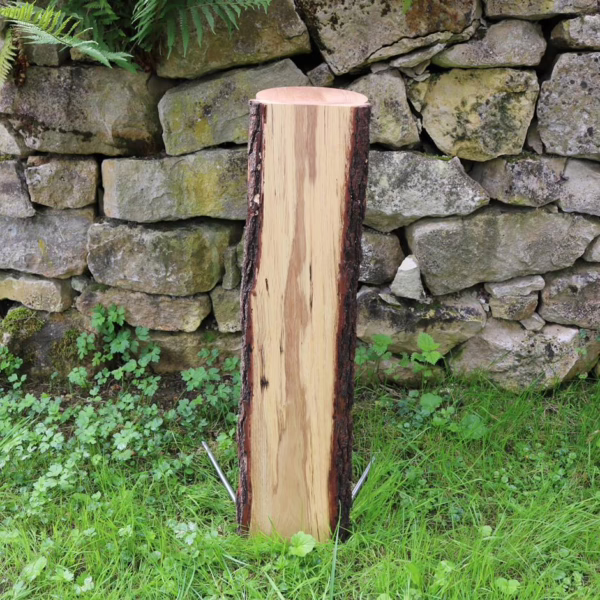 STELE