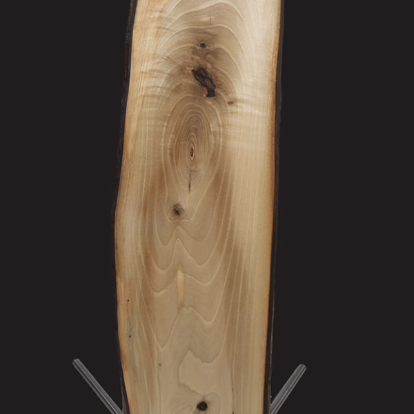 STELE