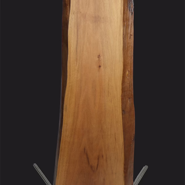 STELE