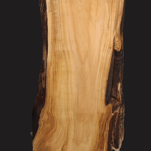 STELE