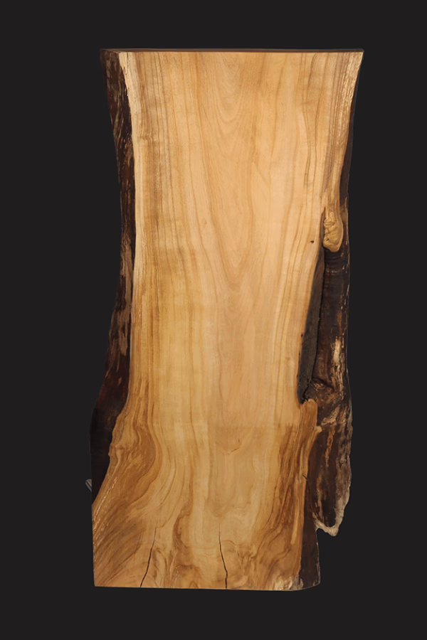 STELE