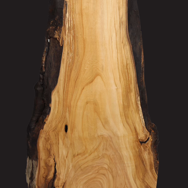 STELE