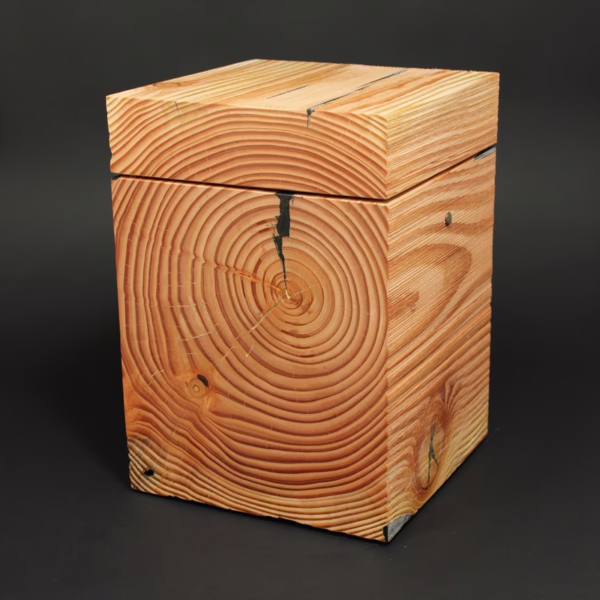 Sehr natürlich gestaltete Holzurne aus Mammutbaum mit markanter Jahresringstruktur und ursprünglicher Holzoberfläche